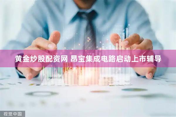 黄金炒股配资网 昂宝集成电路启动上市辅导